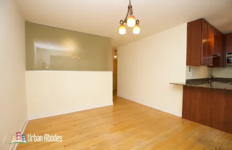 Studio Lincoln Park Apartment