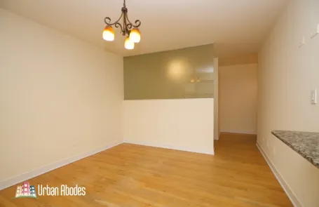 Studio Lincoln Park Apartment