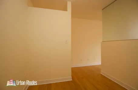 Studio Lincoln Park Apartment