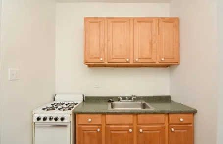 Studio Ravenswood Apartment