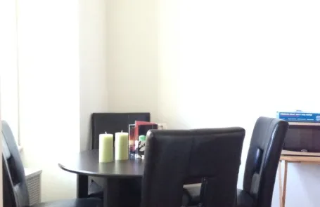 1 Bedroom Lincoln Park Apartment