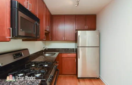 1 Bedroom Lincoln Park Apartment