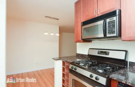 1 Bedroom Lincoln Park Apartment