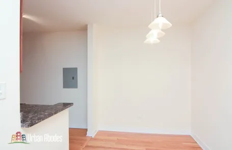 1 Bedroom Lincoln Park Apartment