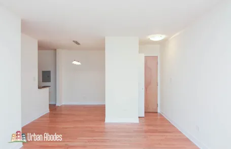 1 Bedroom Lincoln Park Apartment