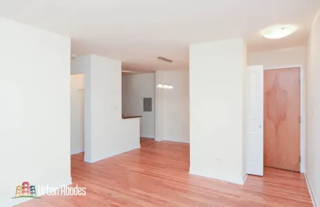 1 Bedroom Lincoln Park Apartment