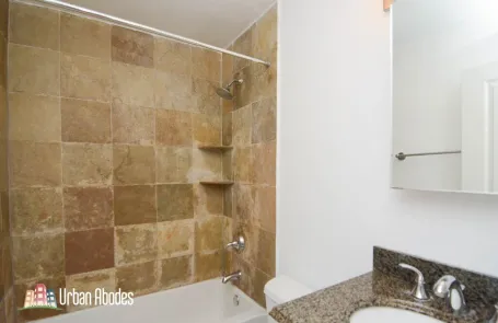 1 Bedroom Lincoln Park Apartment