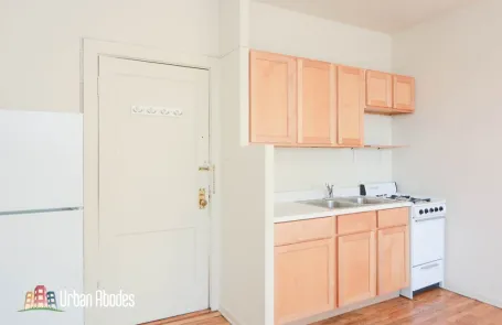 Studio Lakeview Apartment