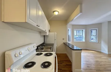 Studio Lakeview Apartment