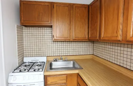 Studio Lakeview Apartment