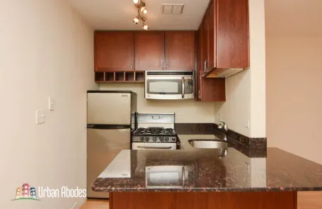 Studio Lincoln Park Apartment