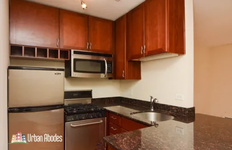 Studio Lincoln Park Apartment