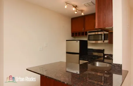 Studio Lincoln Park Apartment