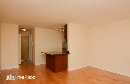 Studio Lincoln Park Apartment