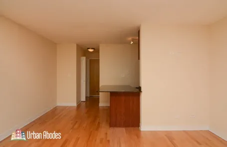 Studio Lincoln Park Apartment