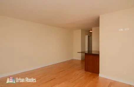 Studio Lincoln Park Apartment