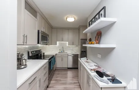 2 Bedroom Streeterville Apartment