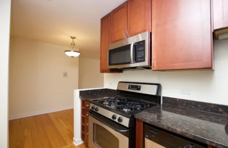 1 Bedroom Lincoln Park Apartment