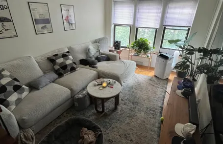 1 Bedroom Lakeview Apartment