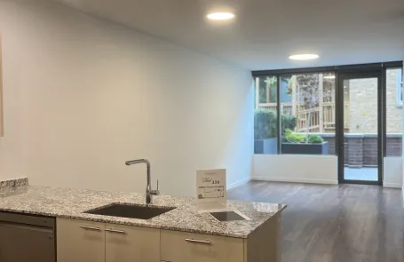 1 Bedroom Lakeview Apartment