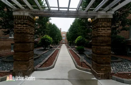 1 Bedroom Lakeview Apartment