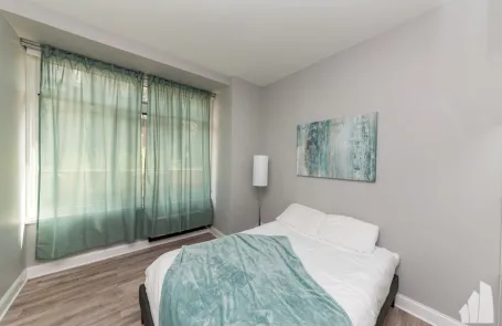 2 Bedroom Streeterville Apartment