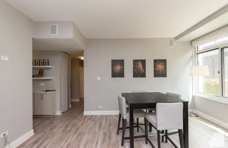 2 Bedroom Streeterville Apartment