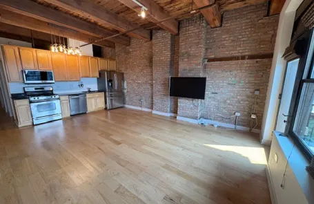 1 Bedroom South Loop Apartment
