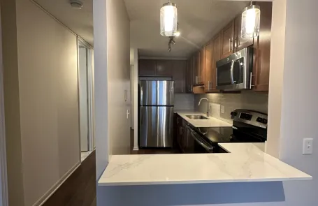 Studio Lakeshore East Apartment