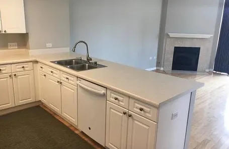 1 Bedroom South Loop Apartment