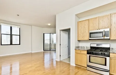 3 Bedroom South Loop Apartment