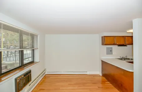 Studio Lincoln Park Apartment