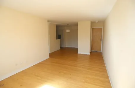 1 Bedroom Lincoln Park Apartment