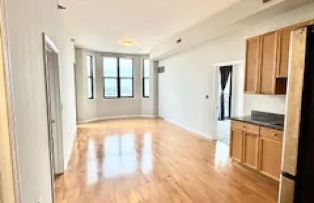 2 Bedroom South Loop Apartment