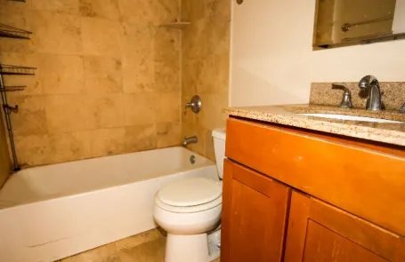 1 Bedroom Lincoln Park Apartment