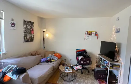 Studio Lakeview Apartment