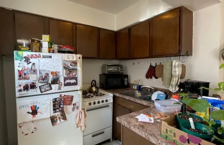 Studio Lakeview Apartment