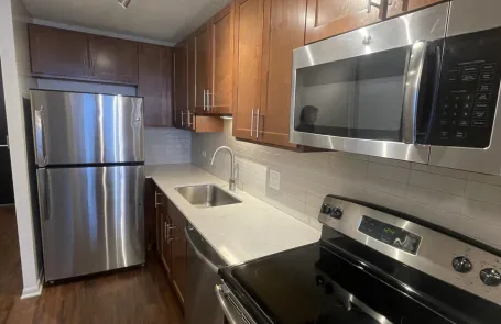 Studio Lakeshore East Apartment