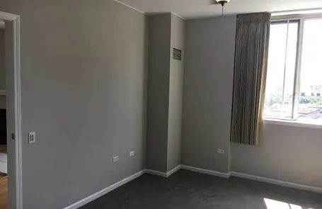 1 Bedroom South Loop Apartment