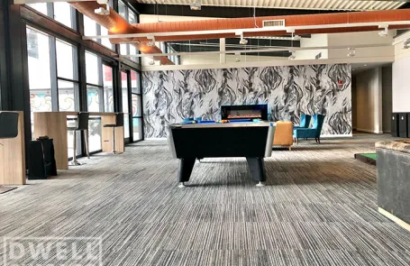 1 Bedroom Lincoln Park Apartment