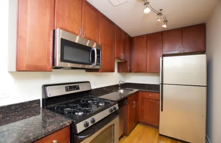 1 Bedroom Lincoln Park Apartment