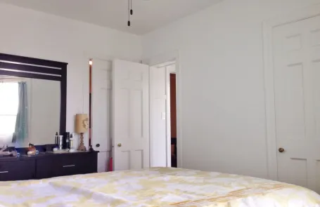 1 Bedroom Lincoln Park Apartment