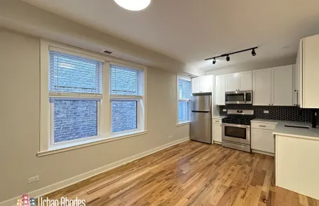 1 Bedroom Lincoln Park Apartment