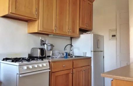 1 Bedroom Lincoln Park Apartment