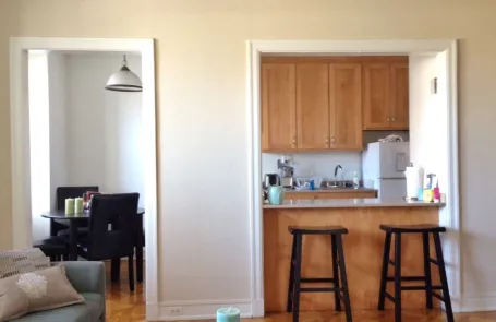 1 Bedroom Lincoln Park Apartment