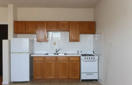 Studio Lakeview Apartment