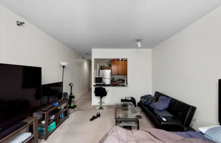 Studio River North Apartment