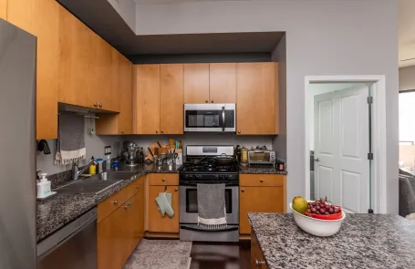 2 Bedroom South Loop Apartment