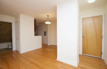 1 Bedroom Lincoln Park Apartment