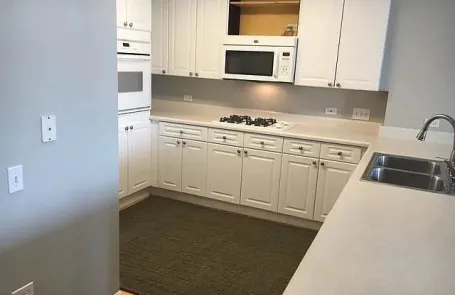 1 Bedroom South Loop Apartment